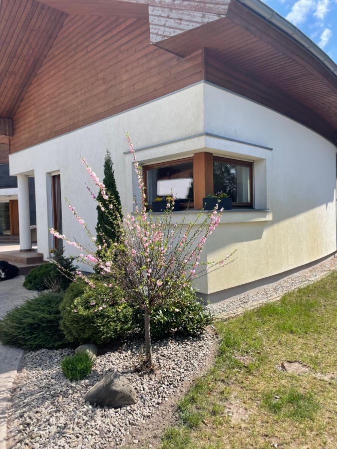 Apartament Przy Lesie Chojno-Blota Wielkie Exteriör bild